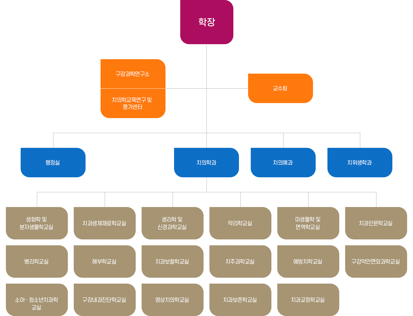 치과대학 기구표